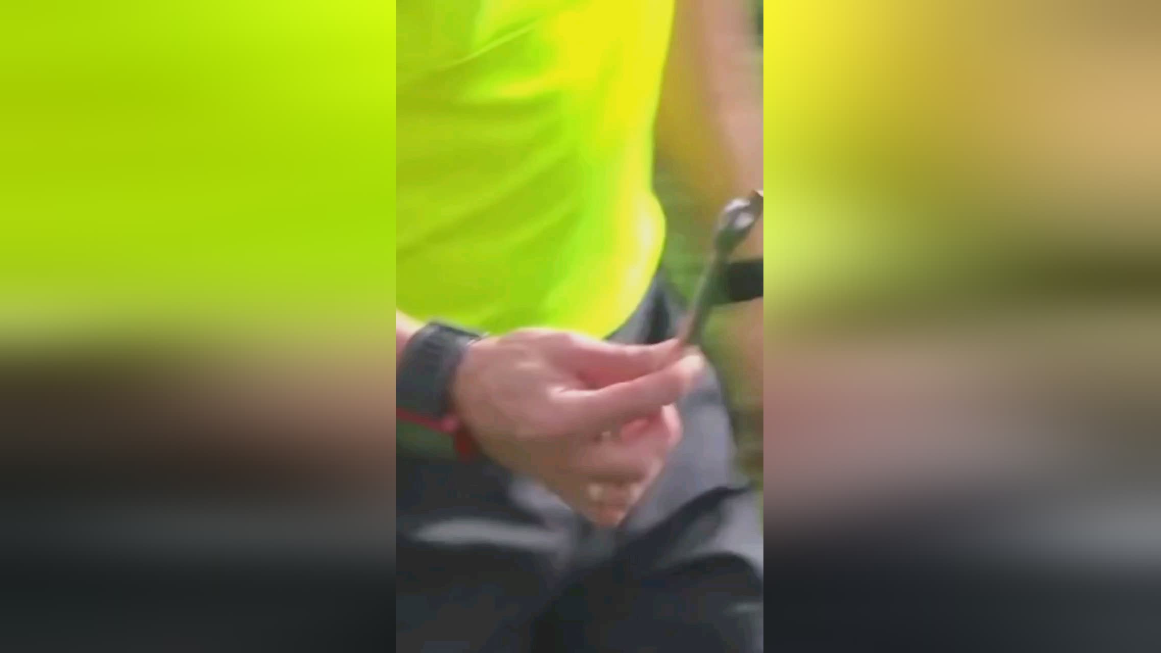 要依据总体